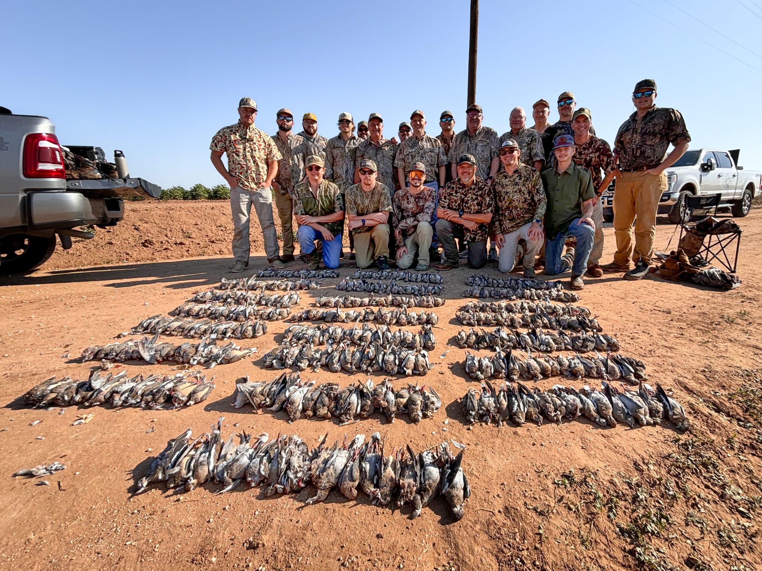 Dove hunt large party